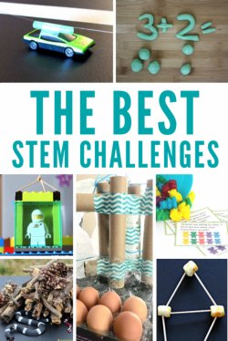 STEM Challenge